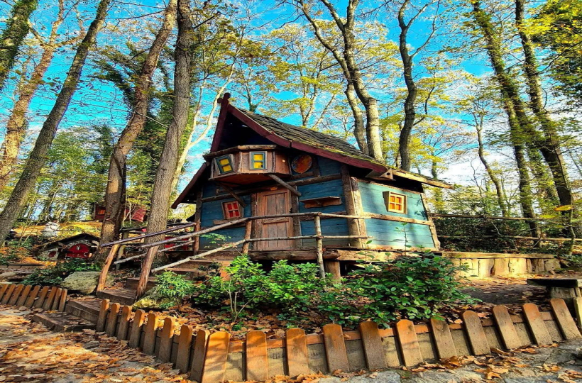 MAŞUKİYE KARTEPE ORMANYA